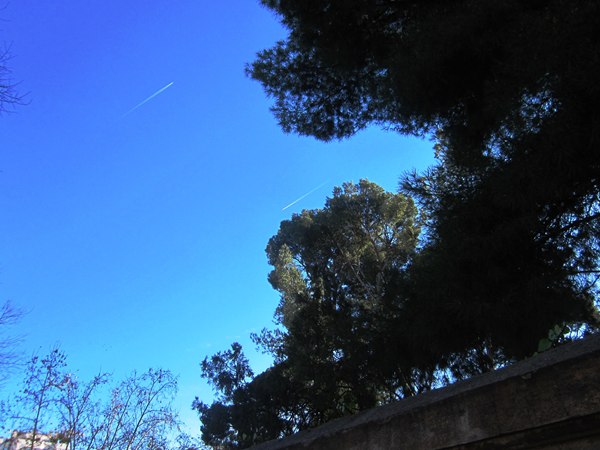 b0064411_165675.jpg