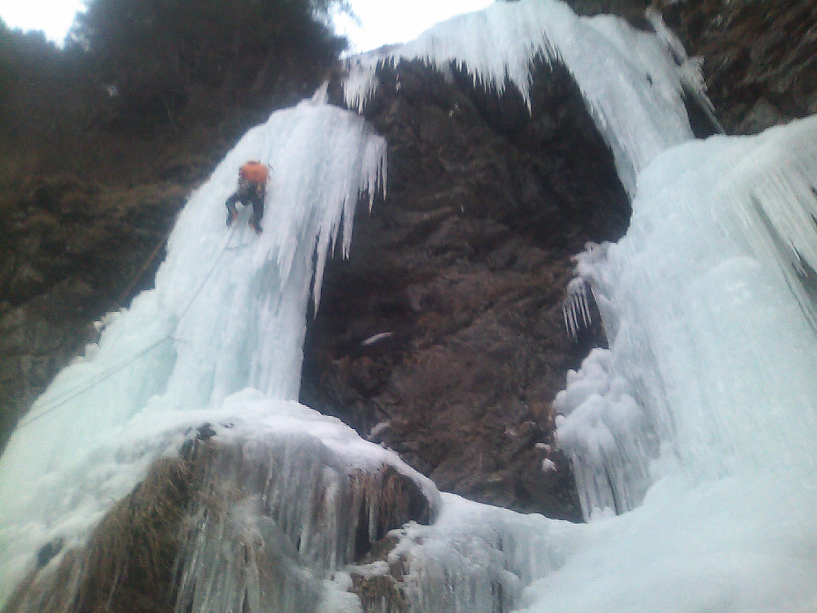 c0210618_1558404.jpg