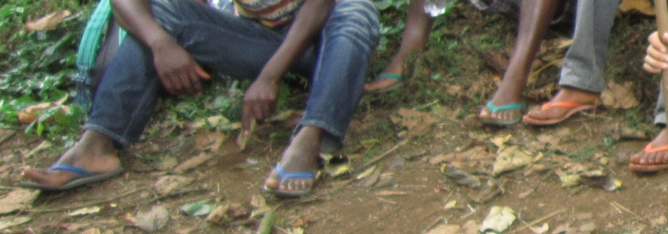 d0176523_6592222.jpg