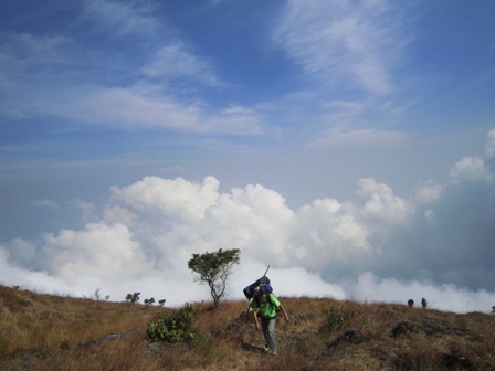 d0176523_7125190.jpg