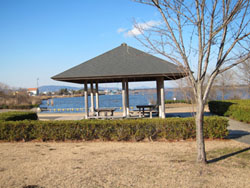 f0147025_16171075.jpg