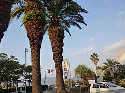 d0086228_14502424.jpg