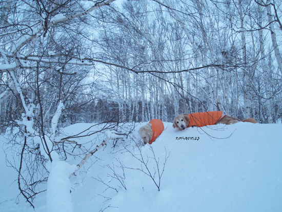 f0227228_23315740.jpg