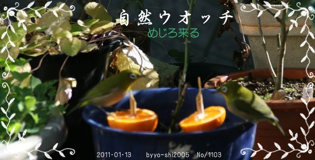 e0033229_19574511.jpg