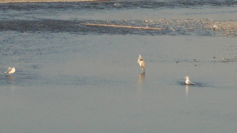 d0013834_2014170.jpg