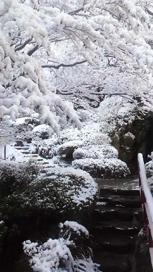b0019140_16642100.jpg