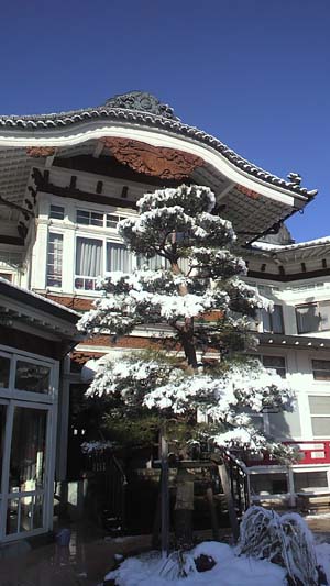 b0019140_167552.jpg