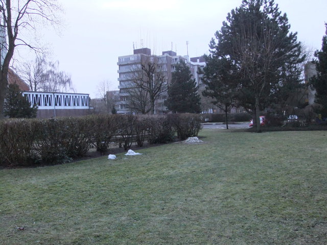 f0210340_4513276.jpg