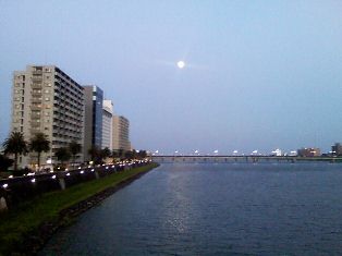 b0199742_21524527.jpg