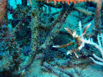 f0014842_1656599.jpg