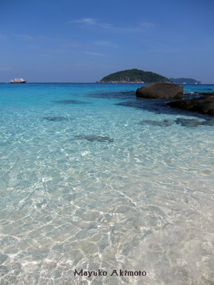e0027447_1621880.jpg