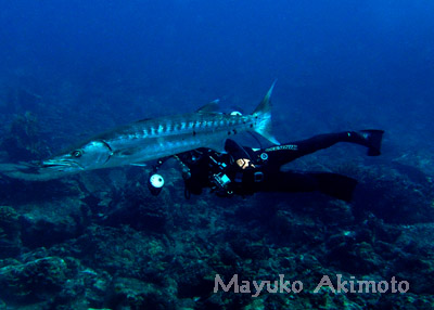e0027447_1635663.jpg