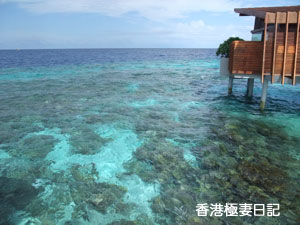 f0190653_1702755.jpg
