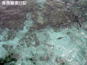 f0190653_1705891.jpg