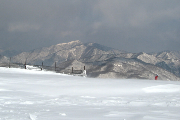f0007956_10451757.jpg