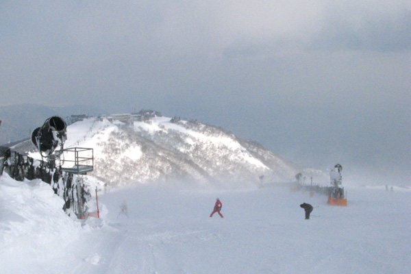 f0007956_10453022.jpg