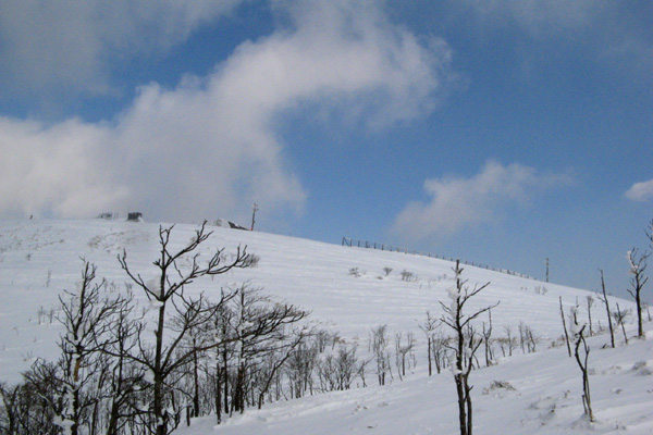 f0007956_10461492.jpg