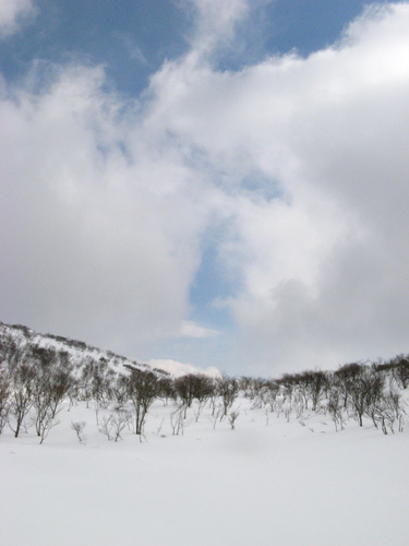 f0007956_10464560.jpg
