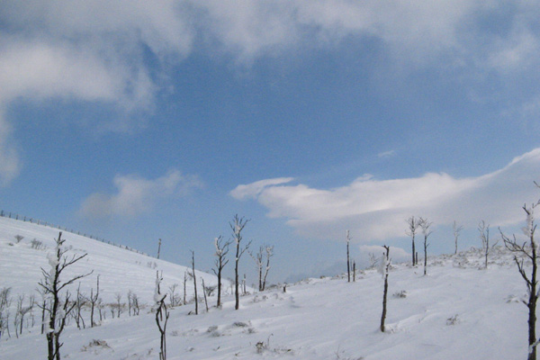 f0007956_104646.jpg
