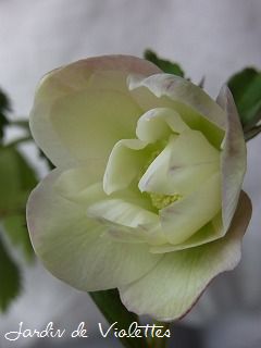 e0118257_2156888.jpg