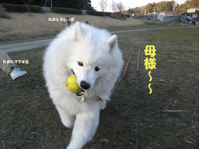 e0176159_1203162.jpg