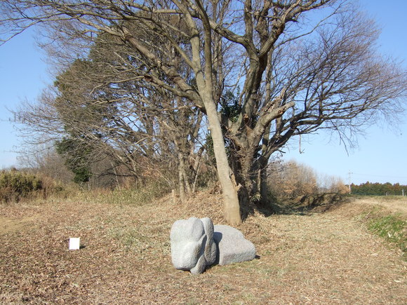 e0009760_16445310.jpg