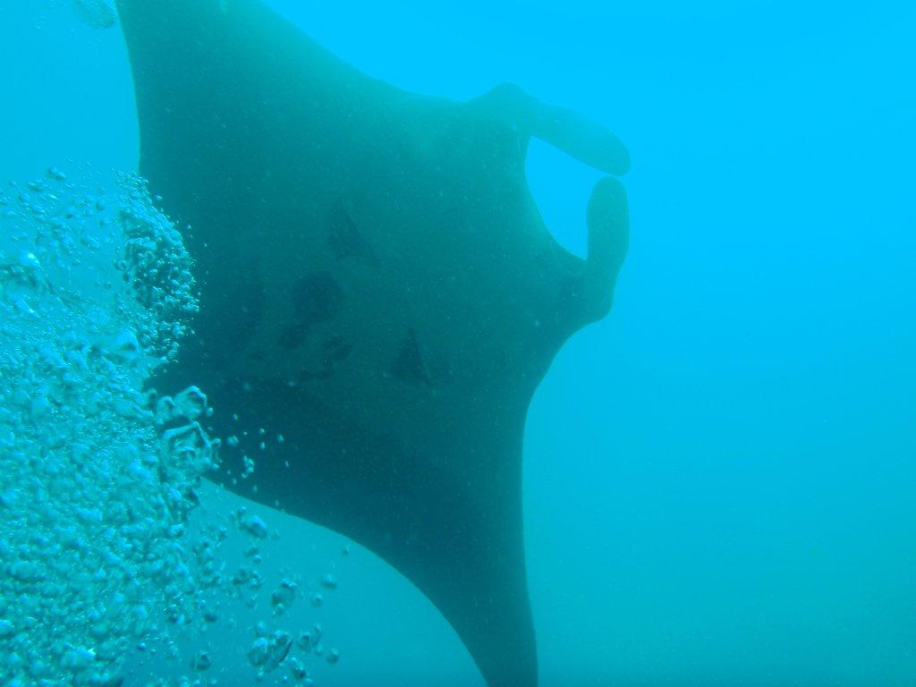 c0110871_16584294.jpg