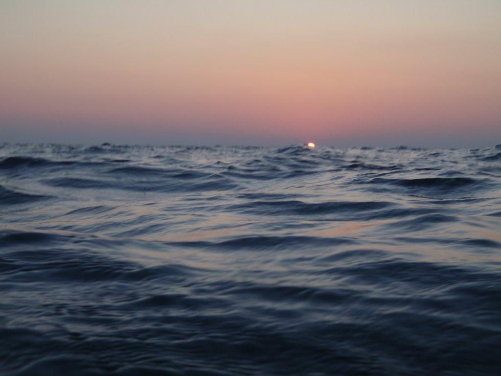 c0110871_1742650.jpg
