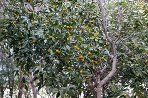 f0003174_13573788.jpg