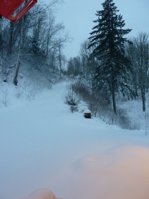 c0080075_1372955.jpg