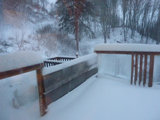c0080075_1543697.jpg