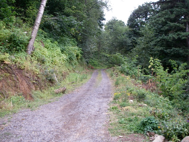 c0080075_156857.jpg
