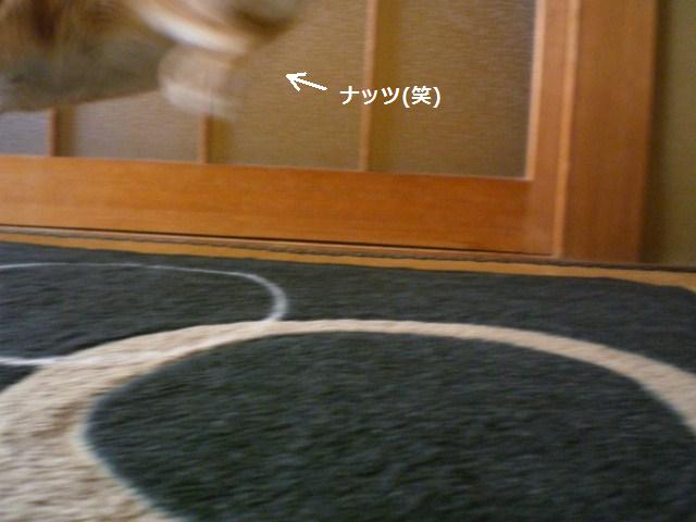 d0134977_10244555.jpg