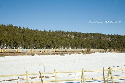 e0148185_14341874.jpg