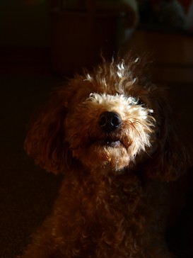 b0110999_022551.jpg