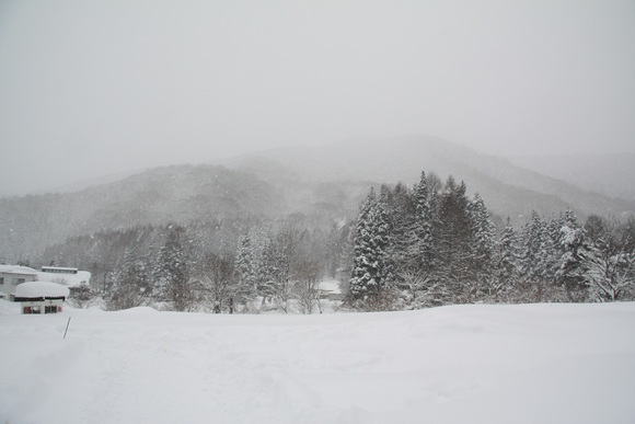 f0034602_2152114.jpg