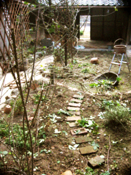 d0077603_12583935.jpg