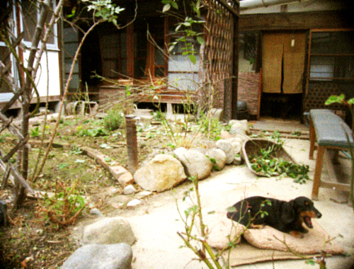 d0077603_12593296.jpg