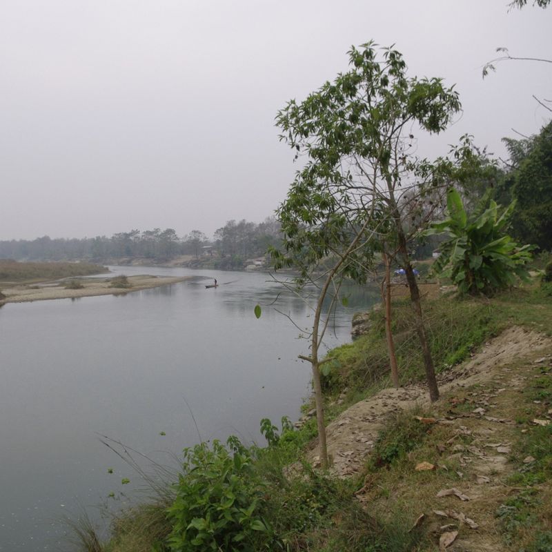 e0142611_2243172.jpg