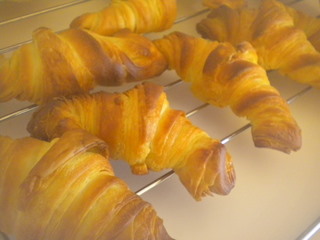 c0229312_523272.jpg