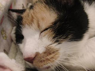 c0201113_1985644.jpg