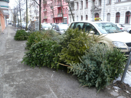 f0200015_851108.jpg