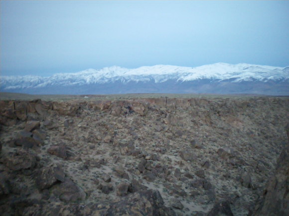 d0189918_22362715.jpg