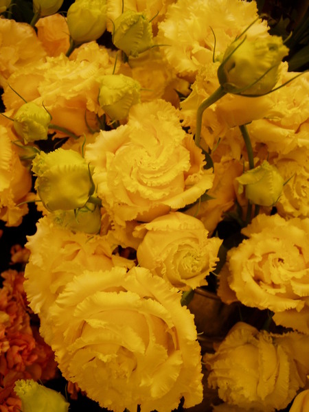 e0138323_1757134.jpg