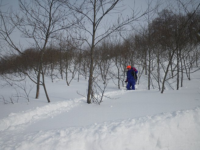 f0118332_2243590.jpg