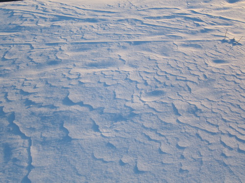 d0156438_13193548.jpg