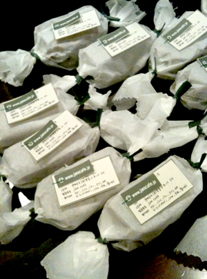 d0179338_115275.jpg