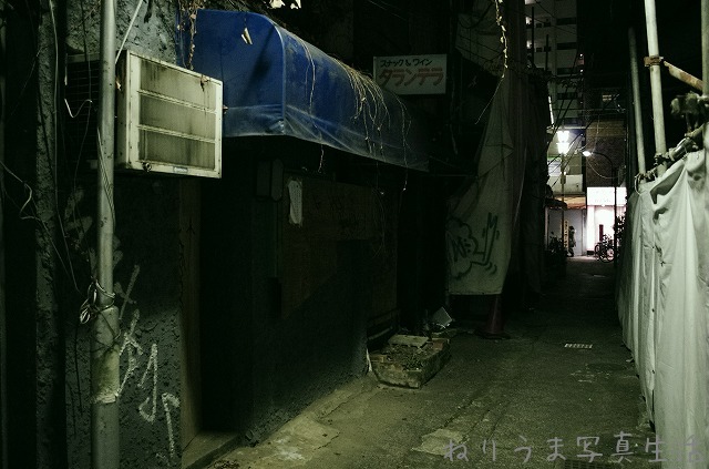 a0009142_23172824.jpg