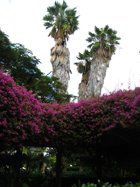c0209845_2258646.jpg