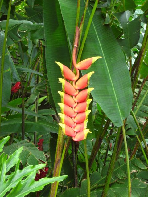 c0209845_2317014.jpg